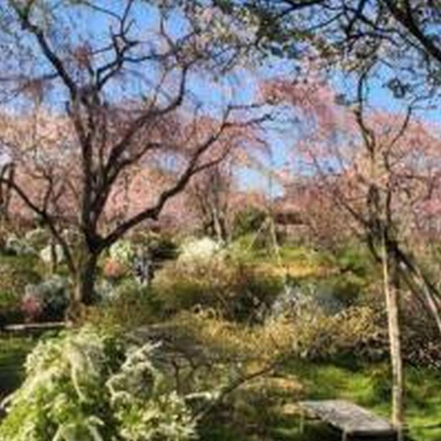 오사카 むつみ庵此花601 아파트 외부 사진